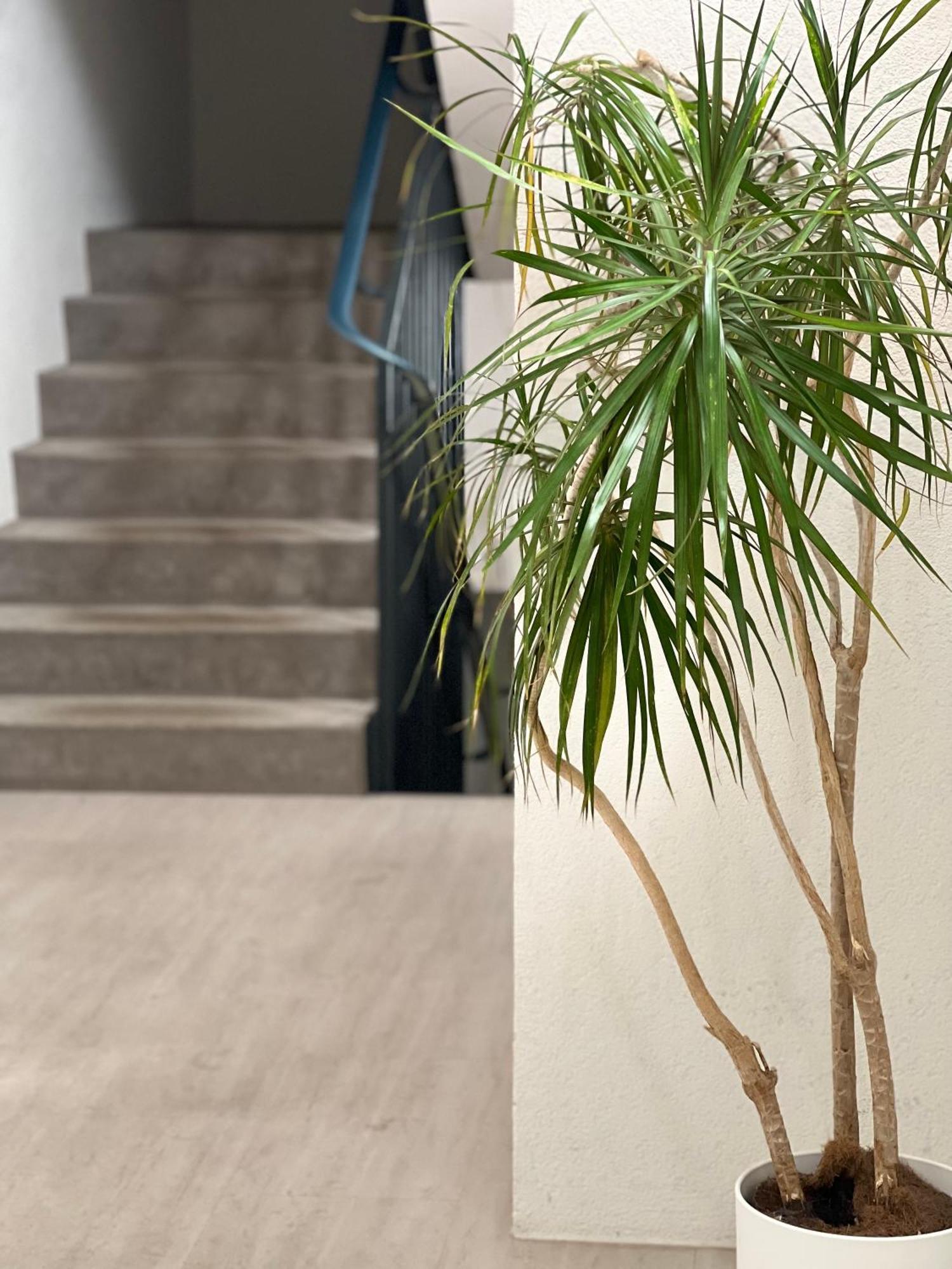 Alt Ap Apartment Wuppertal Ngoại thất bức ảnh
